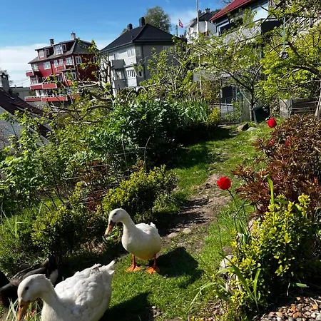 Apartament Cozy And Modern With A Countryside Feeling In